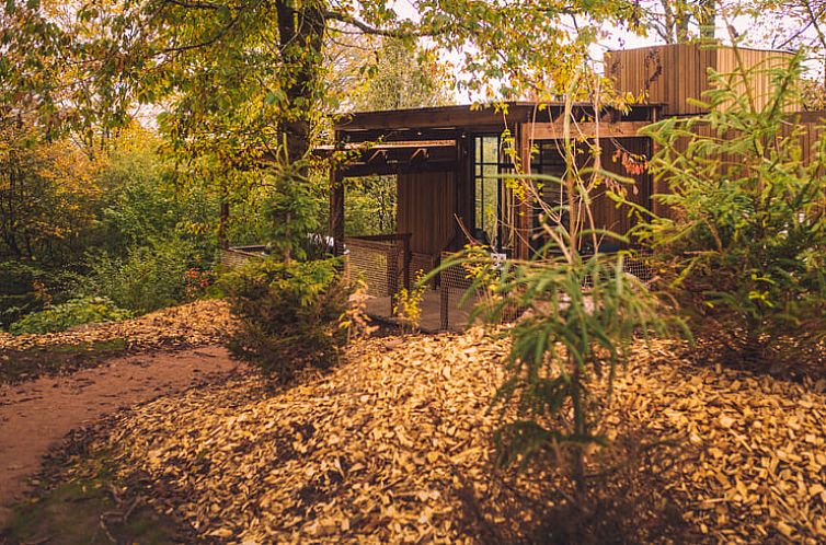 Vakantiehuis in Martelange