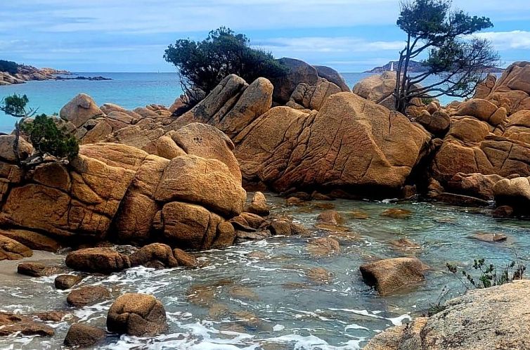 Appartement Casa Adina