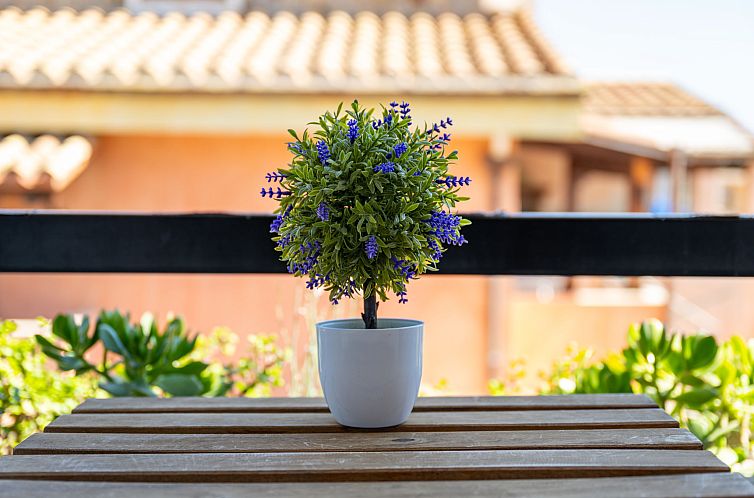 Appartement Appartamento Sala