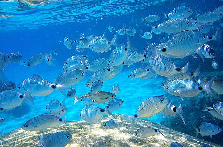 Appartement Zwei-Zimmer-Wohnung 1