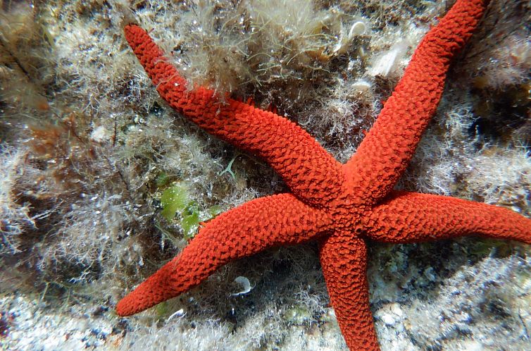 Appartement Zwei-Zimmer-Wohnung 1