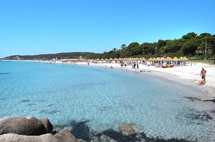 Appartement Zwei-Zimmer-Wohnung 1