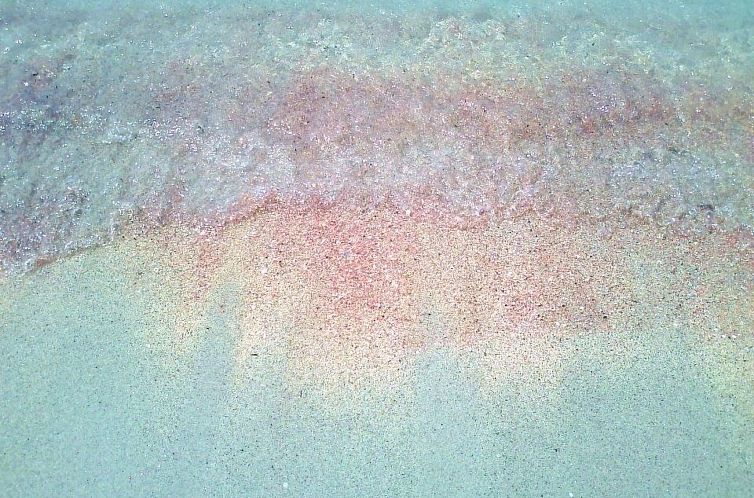 Appartement Bilocale 11