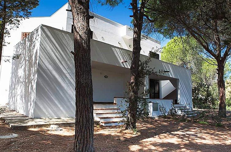 Appartement Villa Alba 2D, Nähe Strand