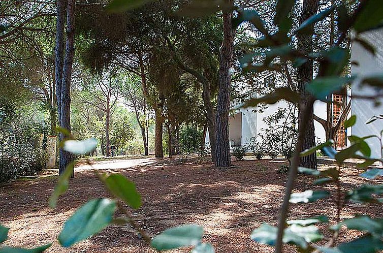 Appartement Villa Alba 2D, Nähe Strand