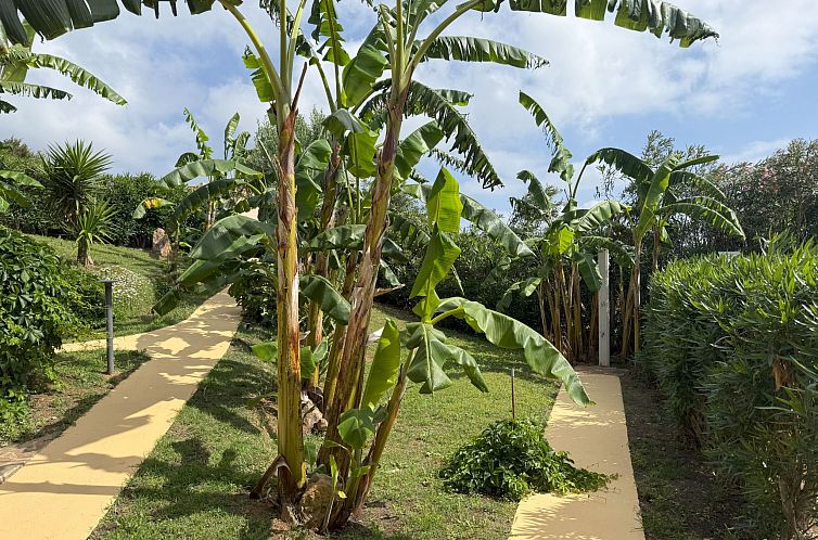 Appartement Villa in Banani