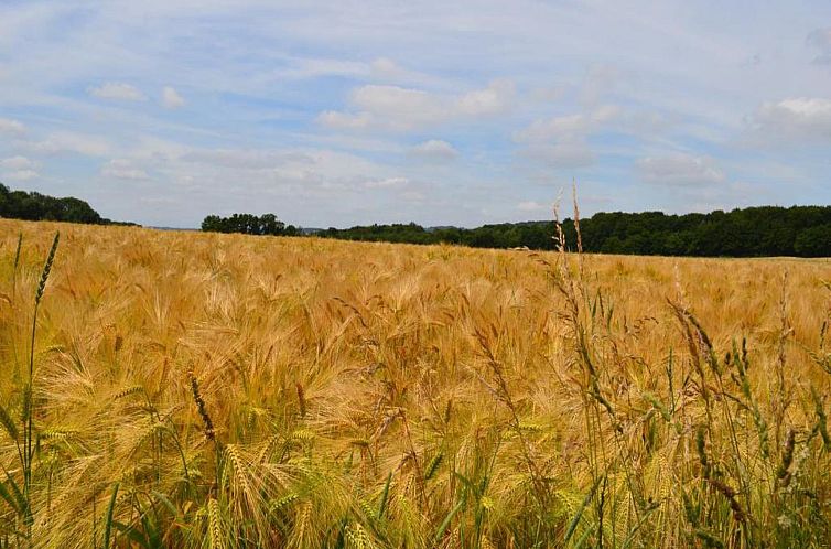 Romantic Escape