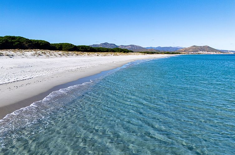 Appartement Alba Wohnung