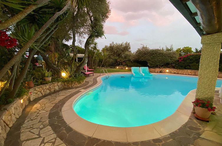 Vakantiehuis Surphinia