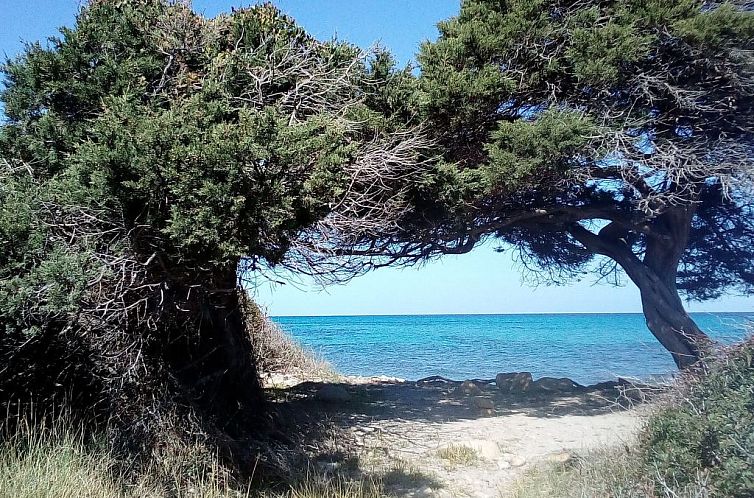 Appartement La Caletta Zentral