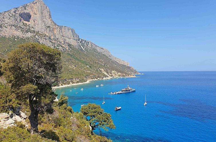 Appartement Orientale 205 Baunei