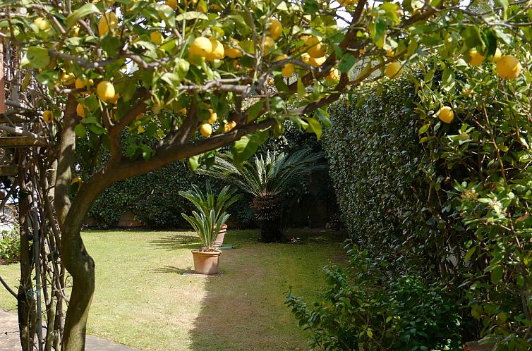 Appartement in Olbia