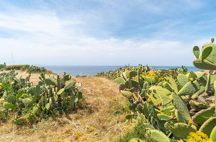 Appartement Ananas 2 A