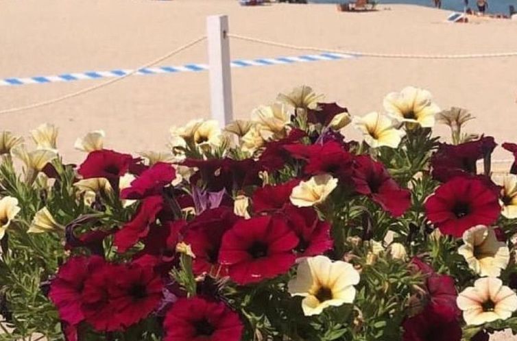 Appartement 'Magnolie