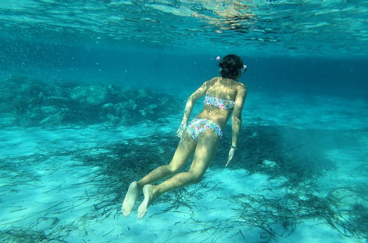 Vakantiehuis Sa Fiorida C plus II