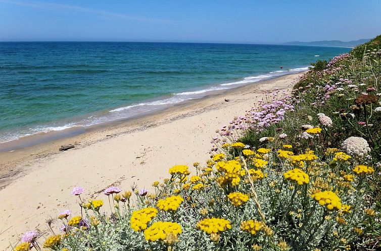 Appartement Solevacanze K mono