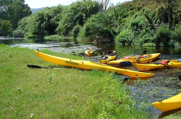 Appartement Solevacanze L plus