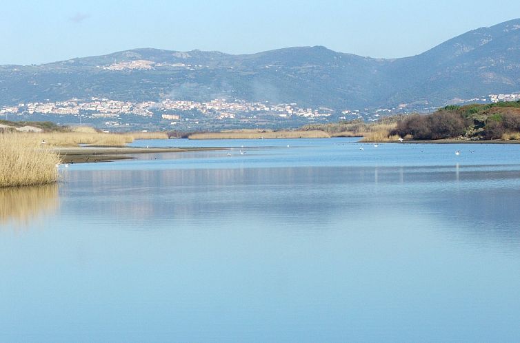 Vakantiehuis Sa Fiorida C plus