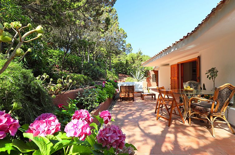 Vakantiehuis Terre Rare