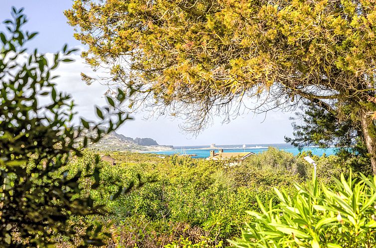 Vakantiehuis Lo Scrigno Segreto