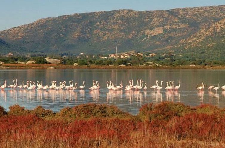 Appartement FERIENHAUS SARDINIEN SAN TEODORO