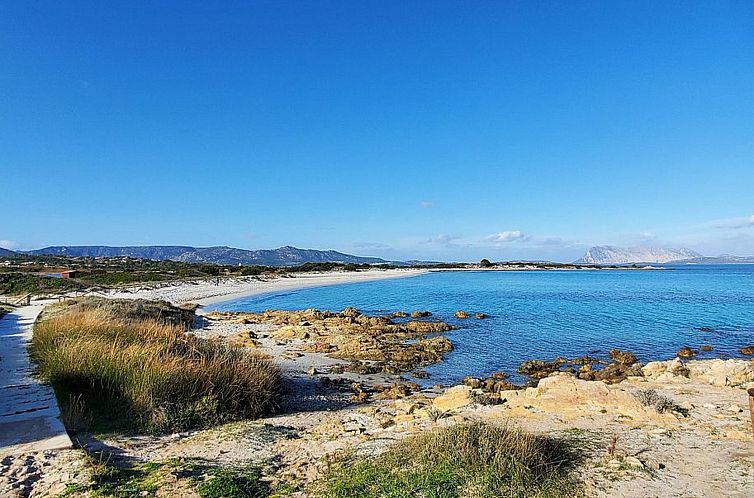 Appartement Sato-AP35-3-A