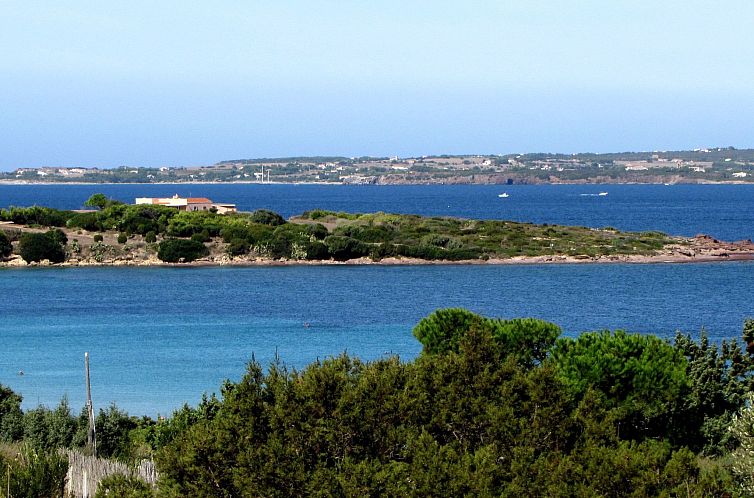 Unterkunft 0935511 - Appartement Sardinien - Appartement Wohnung in Calasetta mit Grill und Garten