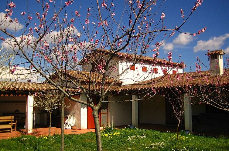 Vakantiehuis Natur, ökologische Nachhaltigkeit, nur für Er