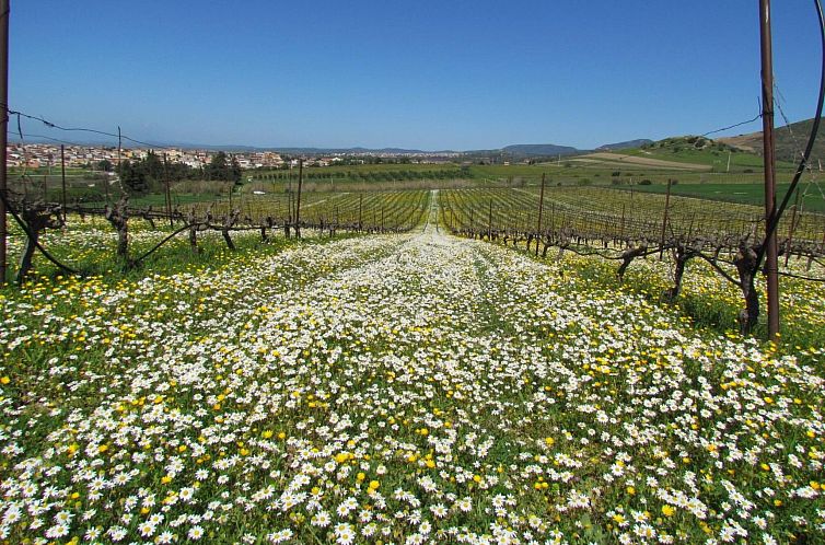 Vakantiehuis Unterkunft in einer Höhle mit Privatparkplatz