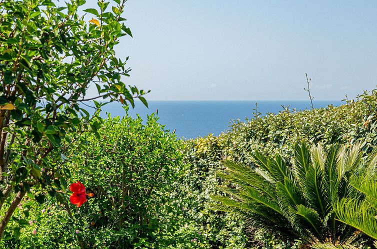 Vakantiehuis Villa Conchiglia