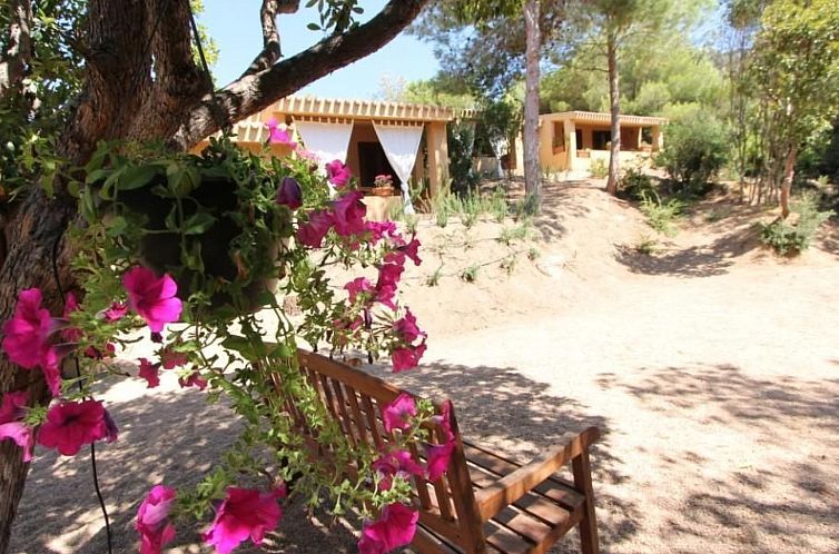 Unterkunft 0937633 - Appartement Sardinien - Appartement Wohnung 'Rosa 3' mit Terrasse