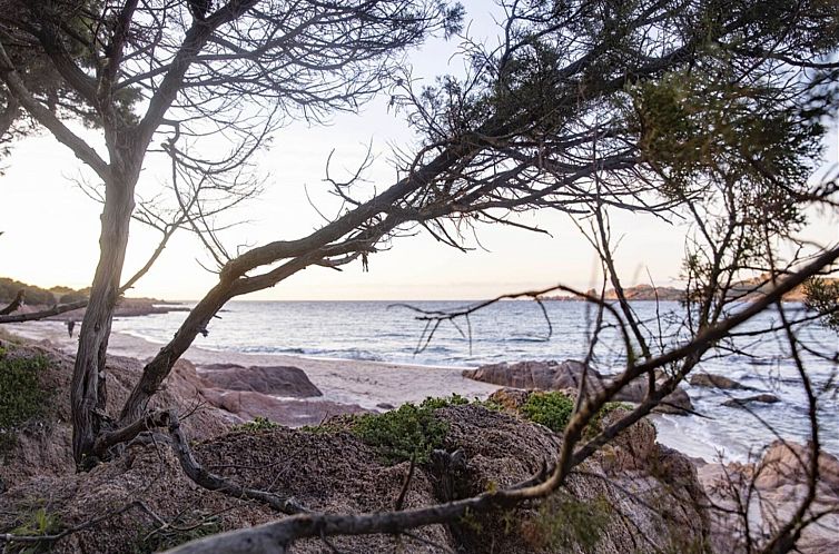 Appartement Pedra Rujia