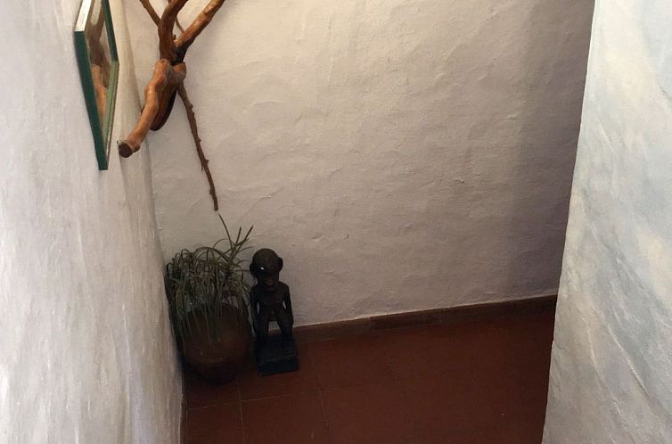 Appartement Tolle Wohnung in Liscia Di Vacca mit Grill und G