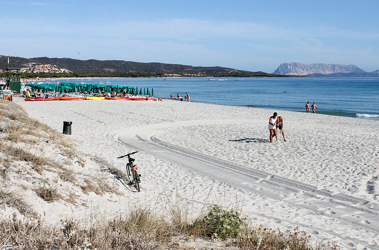 Appartement 500 Meter vom Meer entfernt