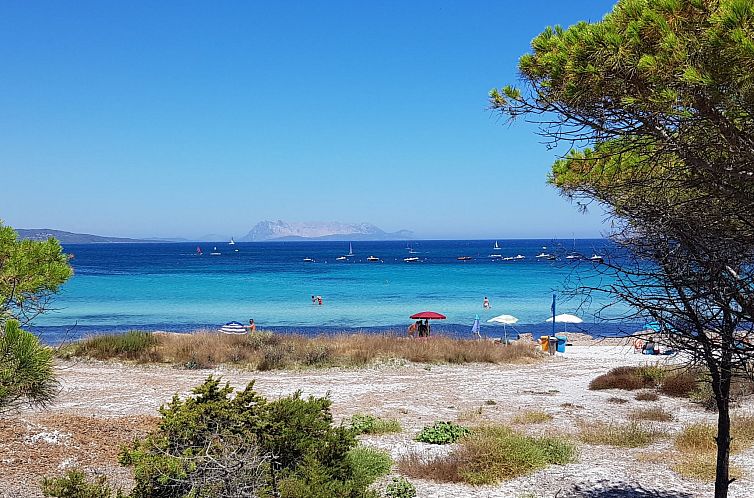 Appartement Vacanze Celeste