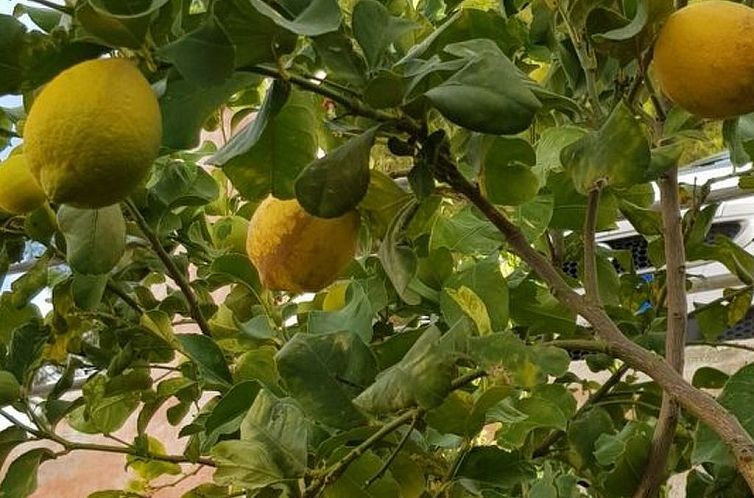 Appartement Su Niu Crobu unten