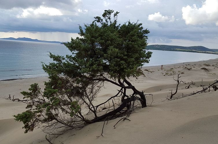 Vakantiehuis Villa carubedda porto pino exklusiv porto pino