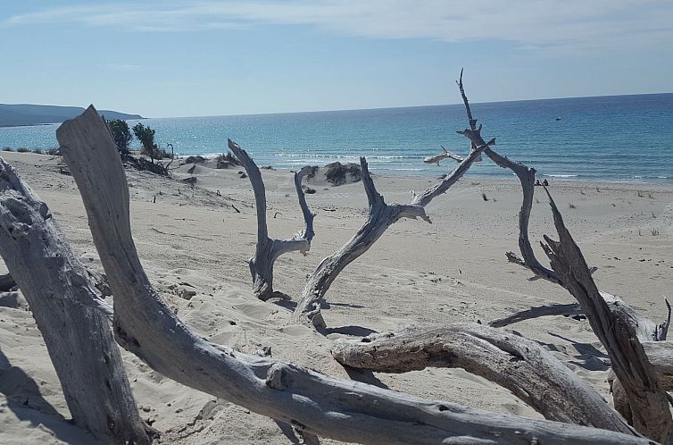 Appartement Suite Wohnungen i4mori Porto Pino