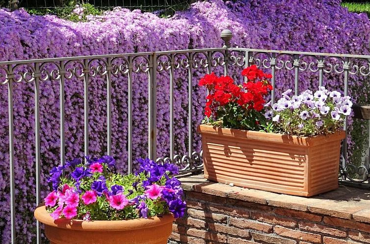 Vakantiehuis Villa mit Wasserblick