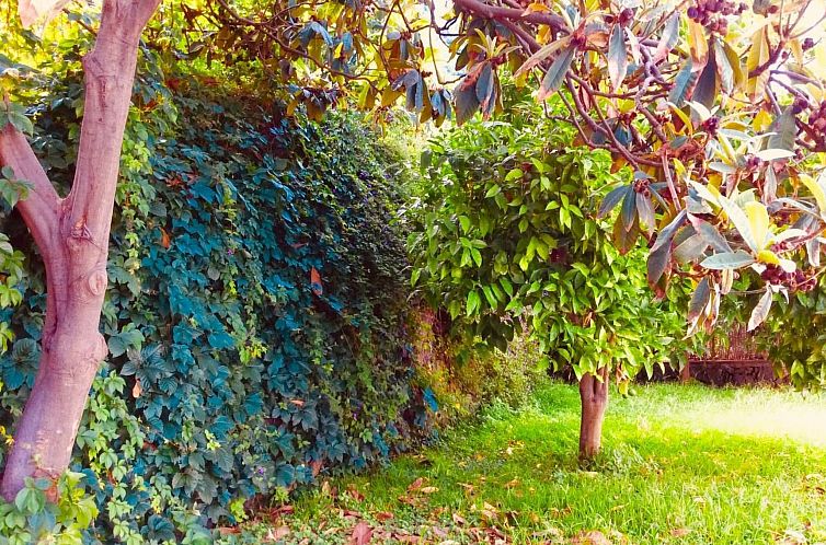 Vakantiehuis Villa mit Wasserblick