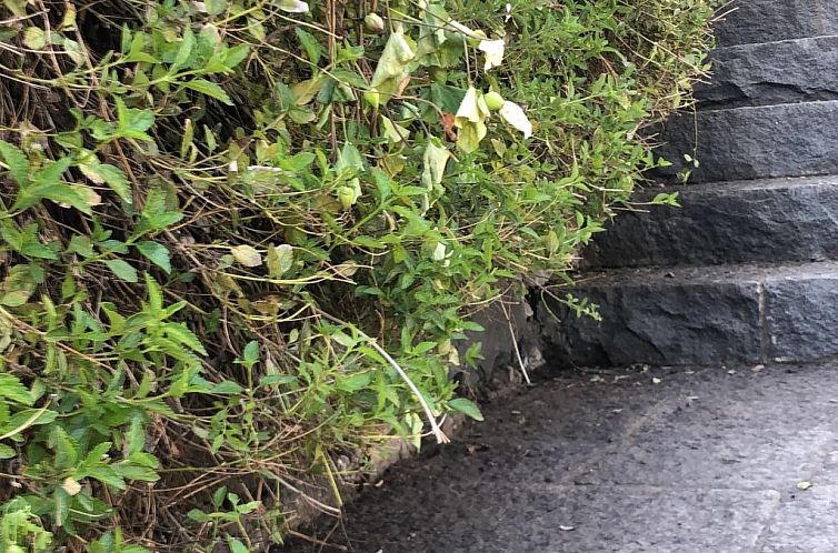 Vakantiehuis Villa mit Wasserblick