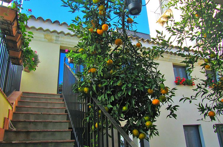 Vakantiehuis Herrenhaus Lemon Court