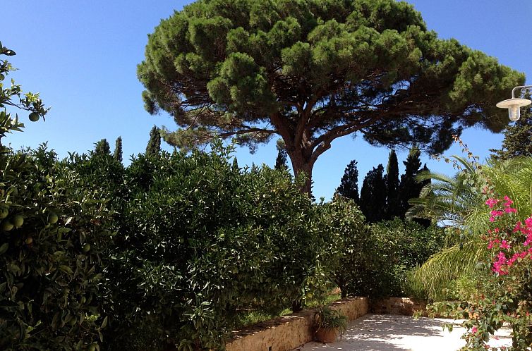 Appartement 'Haus am Zitronenhain'