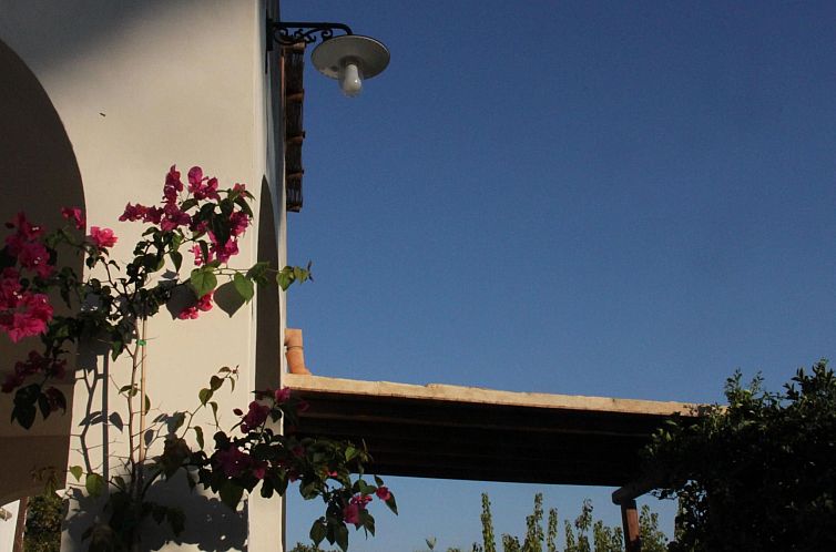 Appartement 'Haus am Zitronenhain'
