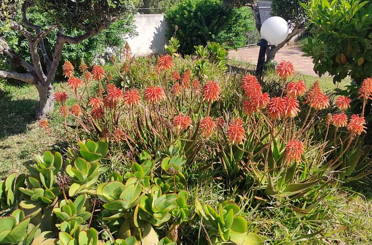 Vakantiehuis Villa Lucrezia