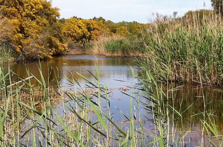 Appartement Gemütliches Haus in Scicli mit Panoramaterrasse