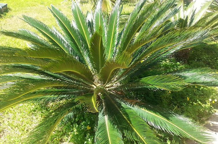 Appartement VanessaFerienhaus Erdgeschoss