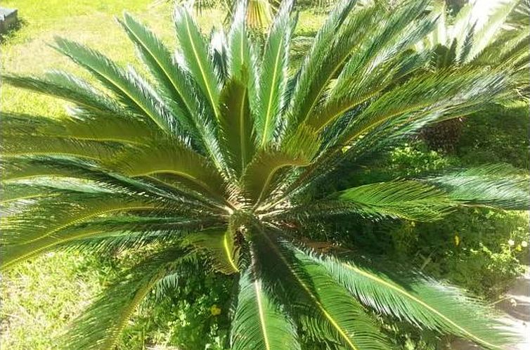 Appartement VanessaHolidayHome Erster Stock in Cava d'Aliga