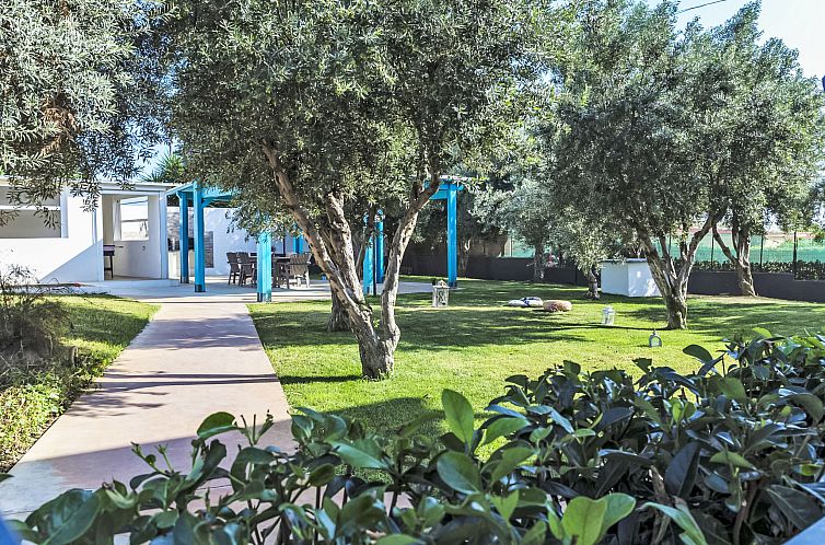 Appartement Dammusa TerraMare