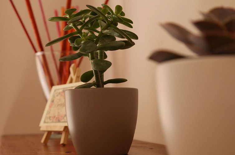 Appartement Casa Elena, Ragusa, Stadtzentrum
